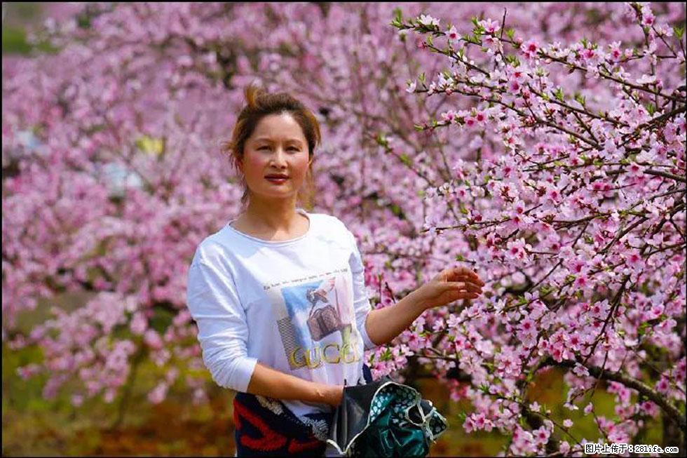 【春天，广西桂林灌阳县向您发出邀请！】官庄村有个醉美的桃花园 - 游山玩水 - 黄南生活社区 - 黄南28生活网 huangnan.28life.net