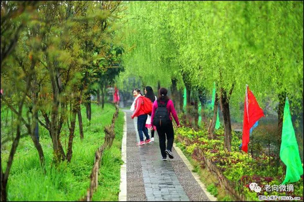 【春天，广西桂林灌阳县向您发出邀请！】江口老街又逢春 - 游山玩水 - 黄南生活社区 - 黄南28生活网 huangnan.28life.net