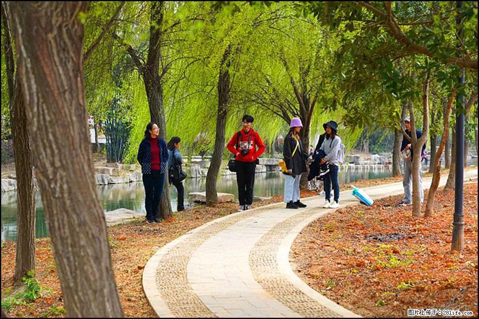【春天，广西桂林灌阳县向您发出邀请！】江口老街又逢春 - 游山玩水 - 黄南生活社区 - 黄南28生活网 huangnan.28life.net