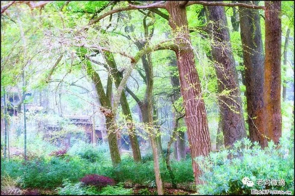 【春天，广西桂林灌阳县向您发出邀请！】在小龙村与春天约会 - 游山玩水 - 黄南生活社区 - 黄南28生活网 huangnan.28life.net