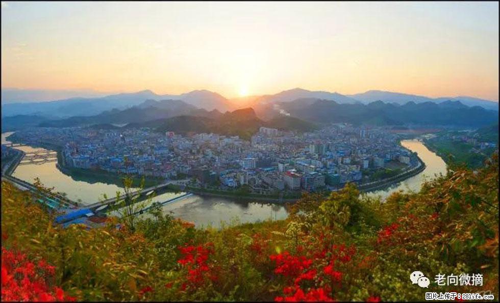 【春天，广西桂林灌阳县向您发出邀请！】登麒麟山，相约映山红 - 游山玩水 - 黄南生活社区 - 黄南28生活网 huangnan.28life.net