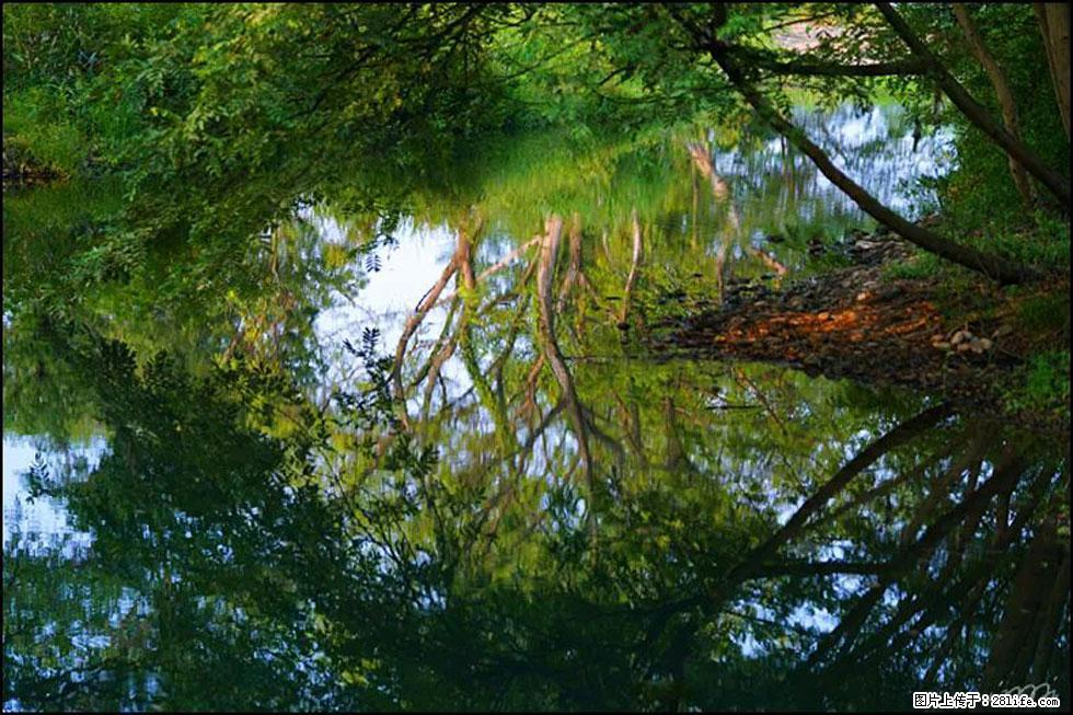 【春天，广西桂林灌阳县向您发出邀请！】熊家寨湿地公园 - 游山玩水 - 黄南生活社区 - 黄南28生活网 huangnan.28life.net