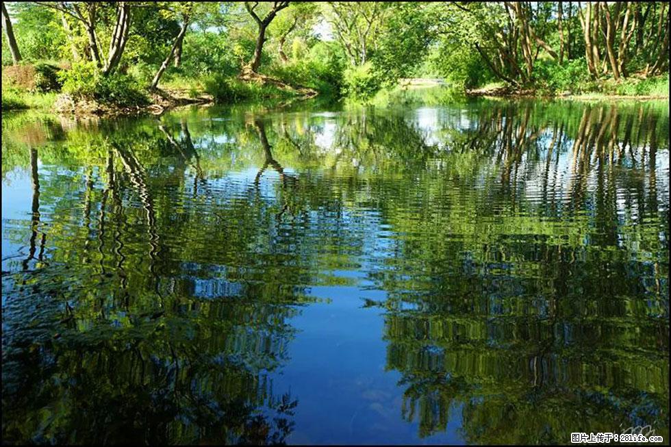 【春天，广西桂林灌阳县向您发出邀请！】熊家寨湿地公园 - 游山玩水 - 黄南生活社区 - 黄南28生活网 huangnan.28life.net