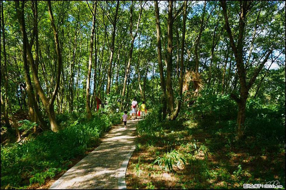 【春天，广西桂林灌阳县向您发出邀请！】熊家寨湿地公园 - 游山玩水 - 黄南生活社区 - 黄南28生活网 huangnan.28life.net