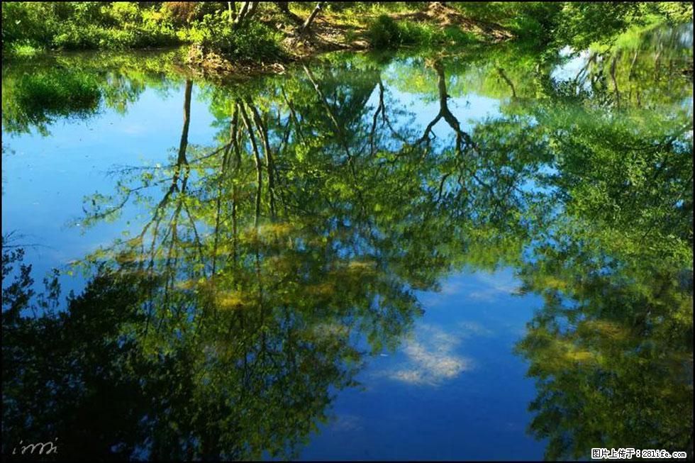 【春天，广西桂林灌阳县向您发出邀请！】熊家寨湿地公园 - 游山玩水 - 黄南生活社区 - 黄南28生活网 huangnan.28life.net