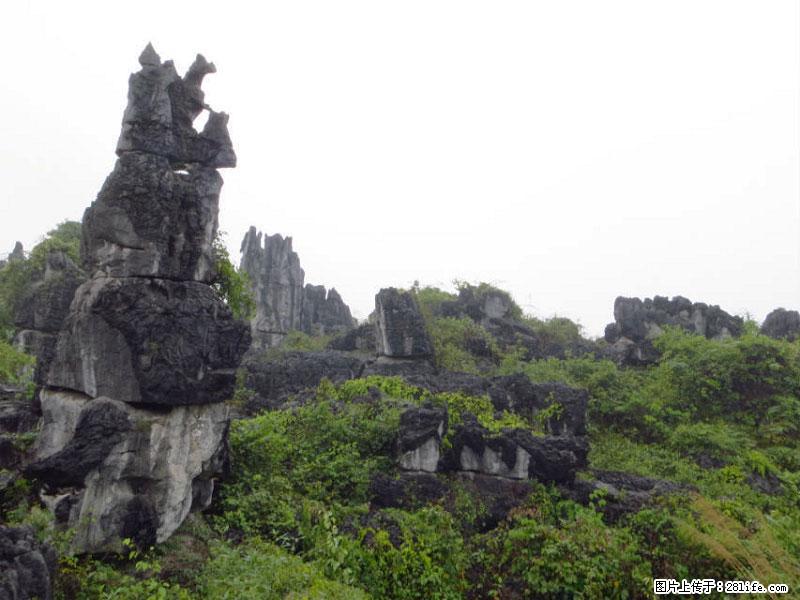 桂林旅游名城景点：灌阳文市石林 - 游山玩水 - 黄南生活社区 - 黄南28生活网 huangnan.28life.net