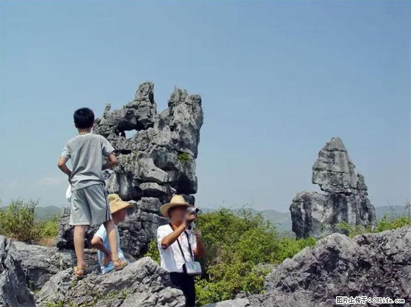 桂林旅游名城景点：灌阳文市石林 - 游山玩水 - 黄南生活社区 - 黄南28生活网 huangnan.28life.net