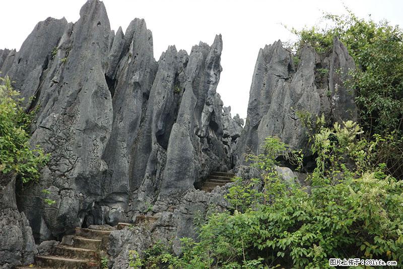 桂林旅游名城景点：灌阳文市石林 - 游山玩水 - 黄南生活社区 - 黄南28生活网 huangnan.28life.net
