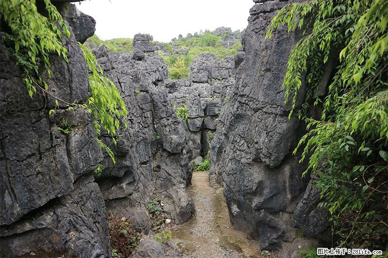 桂林旅游名城景点：灌阳文市石林 - 游山玩水 - 黄南生活社区 - 黄南28生活网 huangnan.28life.net