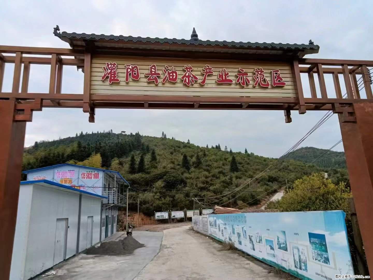 【灌阳县油茶产业示范区】一个有着充实的精神生活的人，对待身外之物自会有一种淡泊的态度 - 美食天地 - 黄南生活社区 - 黄南28生活网 huangnan.28life.net