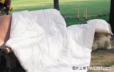 被子有异味？只要这样做，比晒太阳还强100倍！ - 家居生活 - 黄南生活社区 - 黄南28生活网 huangnan.28life.net