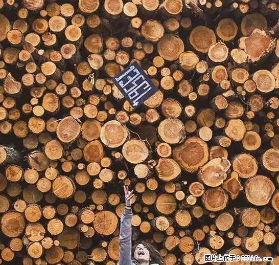辞掉工作周游世界？现在他们在洗厕所…… - 游山玩水 - 黄南生活社区 - 黄南28生活网 huangnan.28life.net