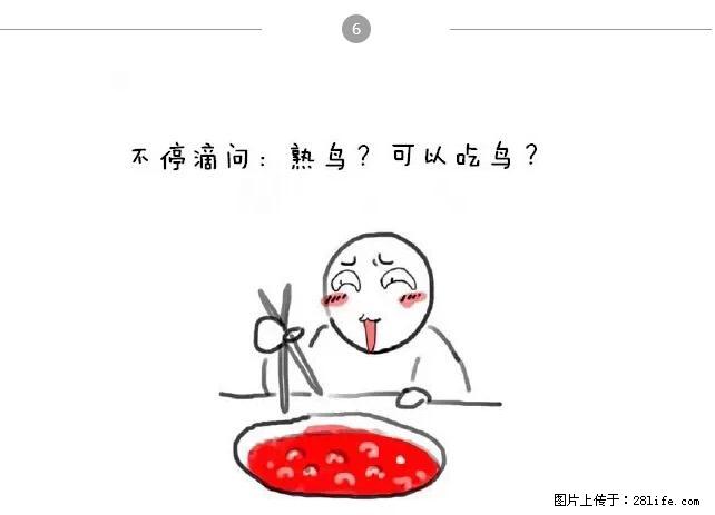 千万不要和这9种哈卵一起吃火锅！ - 美食天地 - 黄南生活社区 - 黄南28生活网 huangnan.28life.net