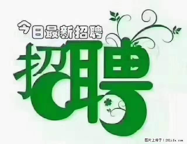 【招聘摄像师】待遇：试用期6000元/月，转正7000元/月+五险一金+餐补+节日福利+奖金 - 职场交流 - 黄南生活社区 - 黄南28生活网 huangnan.28life.net