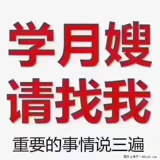 【招聘】月嫂，上海徐汇区 - 职场交流 - 黄南生活社区 - 黄南28生活网 huangnan.28life.net