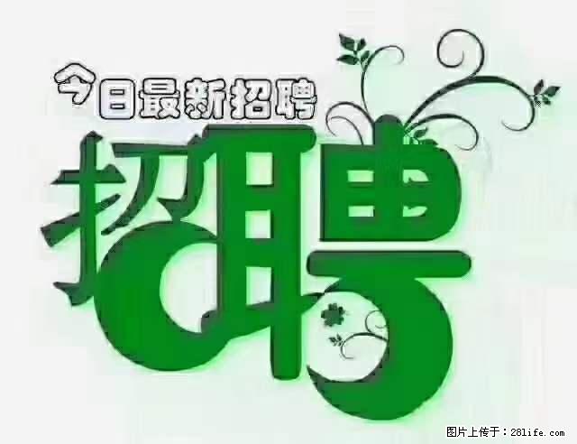 上海隔离酒店招人：55岁以下 男女不限 - 职场交流 - 黄南生活社区 - 黄南28生活网 huangnan.28life.net