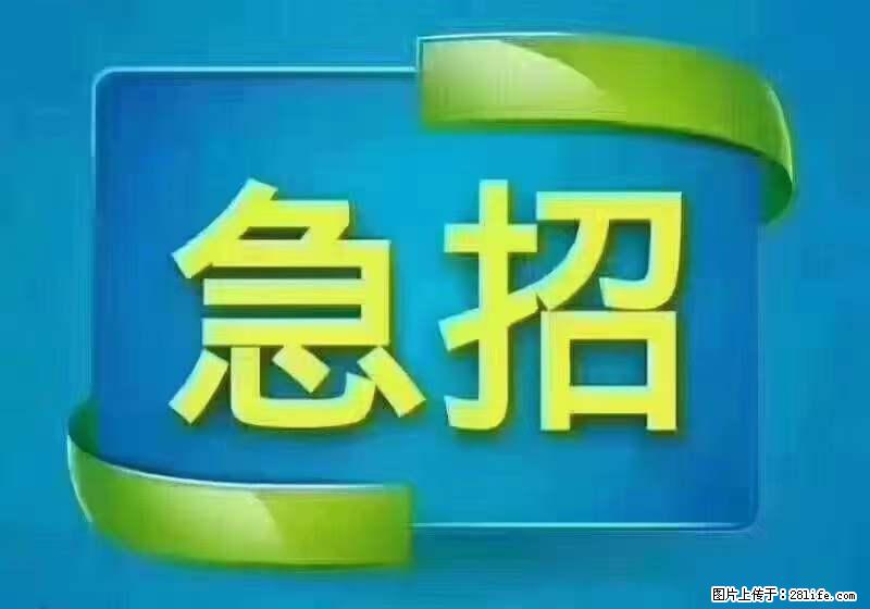 招财务，有会计证的，熟手会计1.1万底薪，上海五险一金，包住，包工作餐，做六休一 - 职场交流 - 黄南生活社区 - 黄南28生活网 huangnan.28life.net