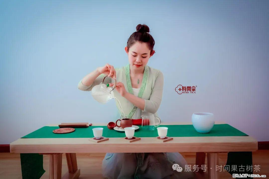 时间果百年古树龙珠普洱生茶 - 购物交流 - 黄南生活社区 - 黄南28生活网 huangnan.28life.net