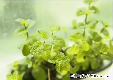 晕车、脚气、牙齿变黄、皮肤粗糙？学会这些三分钟搞定！ - 黄南生活资讯 - 黄南28生活网 huangnan.28life.net
