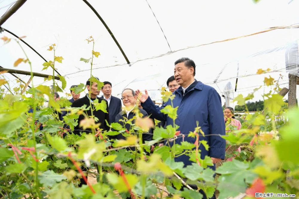 习近平赴广西考察调研 - 黄南生活资讯 - 黄南28生活网 huangnan.28life.net