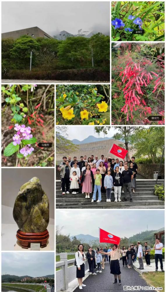 “粤灌文化 美好生活”油茶文化主题活动在广东深圳成功举办 - 黄南生活资讯 - 黄南28生活网 huangnan.28life.net