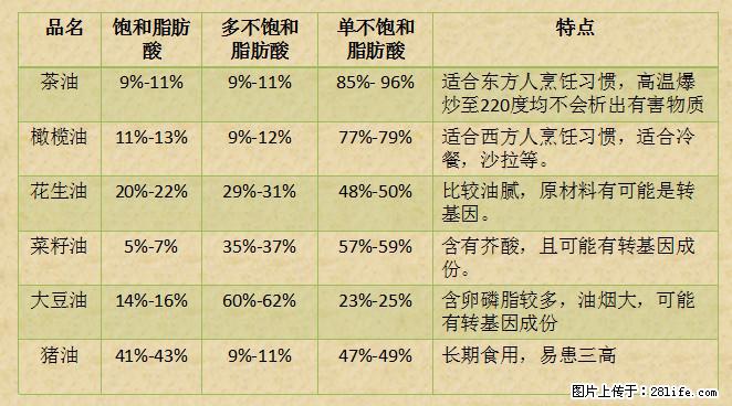 揭秘茶油的5大核心营养成分！被称为人体健康的“守护盾”！ - 黄南生活资讯 - 黄南28生活网 huangnan.28life.net
